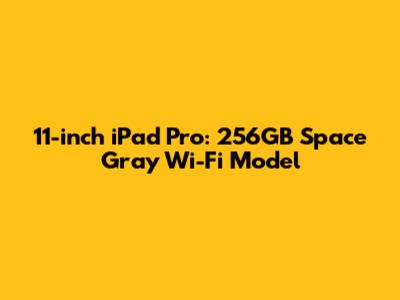 11-inch iPad Pro: 256GB Space Gray Wi-Fi Model