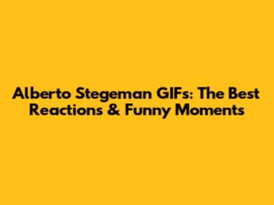 Alberto Stegeman GIFs: The Best Reactions & Funny Moments