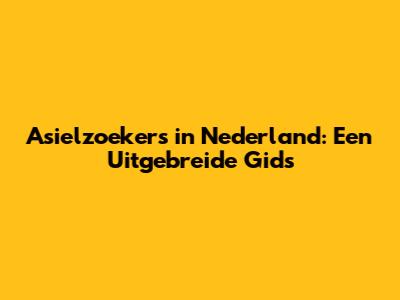 Asielzoekers in Nederland: Een Uitgebreide Gids