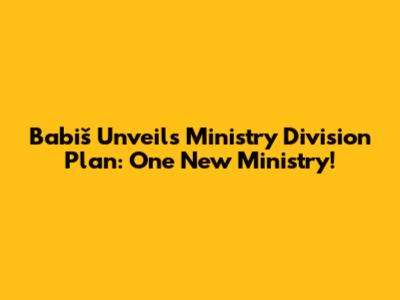 Babiš Unveils Ministry Division Plan: One New Ministry!