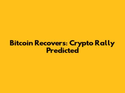 Bitcoin Recovers: Crypto Rally Predicted