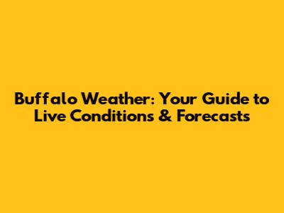 Buffalo Weather: Your Guide to Live Conditions & Forecasts