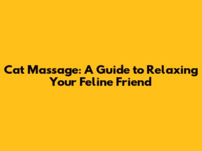 Cat Massage: A Guide to Relaxing Your Feline Friend