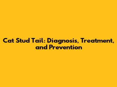 Cat Stud Tail: Diagnosis, Treatment, and Prevention