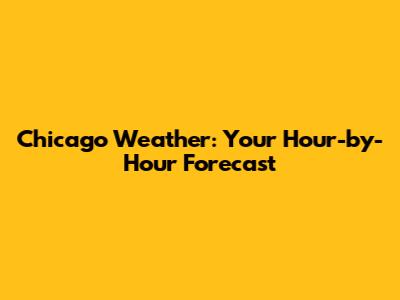 Chicago Weather: Your Hour-by-Hour Forecast