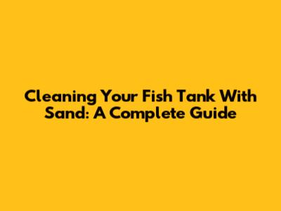 Cleaning Your Fish Tank With Sand: A Complete Guide