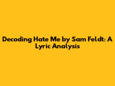Decoding 'Hate Me' by Sam Feldt: A Lyric Analysis