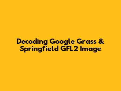 Decoding Google Grass & Springfield GFL2 Image