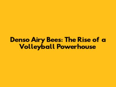 Denso Airy Bees: The Rise of a Volleyball Powerhouse