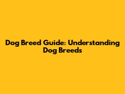 Dog Breed Guide: Understanding Dog Breeds