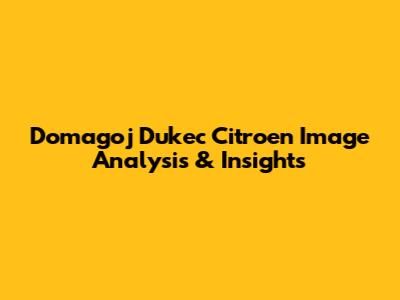 Domagoj Dukec Citroen Image Analysis & Insights