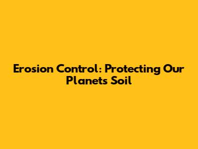 Erosion Control: Protecting Our Planet's Soil