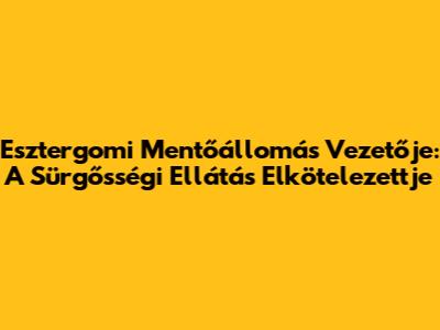 Esztergomi Mentőállomás Vezetője: A Sürgősségi Ellátás Elkötelezettje