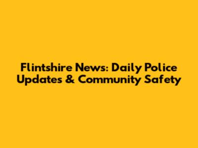 Flintshire News: Daily Police Updates & Community Safety