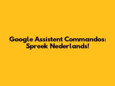 Google Assistent Commando's: Spreek Nederlands!