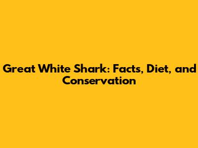 Great White Shark: Facts, Diet, and Conservation