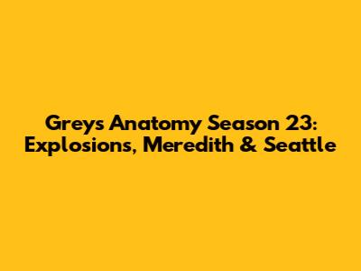Grey's Anatomy Season 23: Explosions, Meredith & Seattle