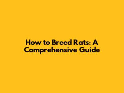 How to Breed Rats: A Comprehensive Guide