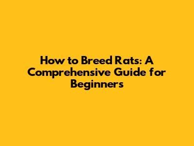 How to Breed Rats: A Comprehensive Guide for Beginners