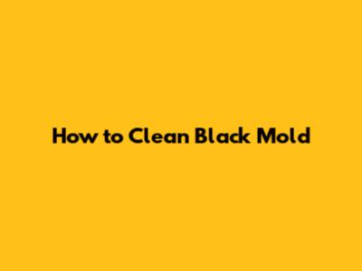How to Clean Black Mold
