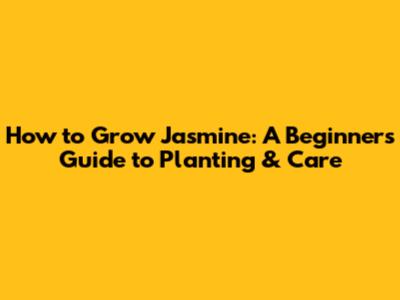How to Grow Jasmine: A Beginner's Guide to Planting & Care
