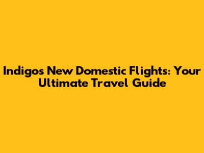 Indigo's New Domestic Flights: Your Ultimate Travel Guide