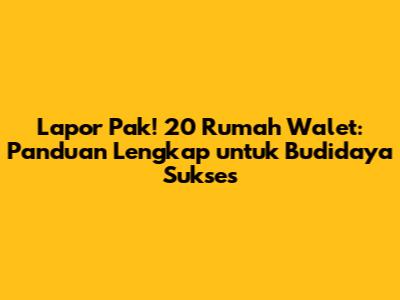Lapor Pak! 20 Rumah Walet: Panduan Lengkap untuk Budidaya Sukses