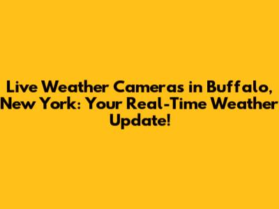 Live Weather Cameras in Buffalo, New York: Your Real-Time Weather Update!