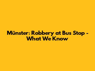 Münster: Robbery at Bus Stop - What We Know