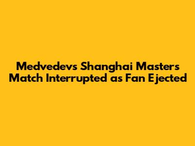 Medvedev's Shanghai Masters Match Interrupted as Fan Ejected