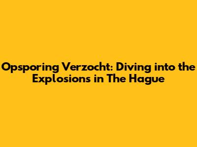 Opsporing Verzocht: Diving into the Explosions in The Hague