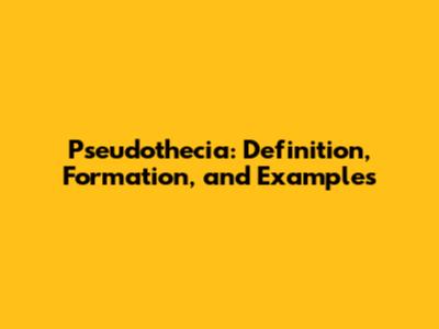 Pseudothecia: Definition, Formation, and Examples