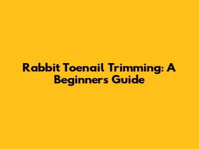 Rabbit Toenail Trimming: A Beginner's Guide