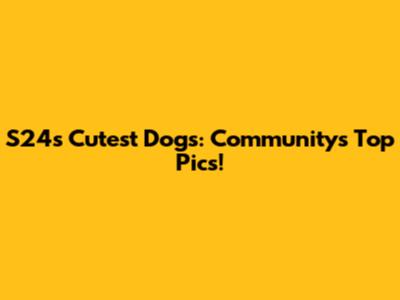 S24's Cutest Dogs: Community's Top Pics!