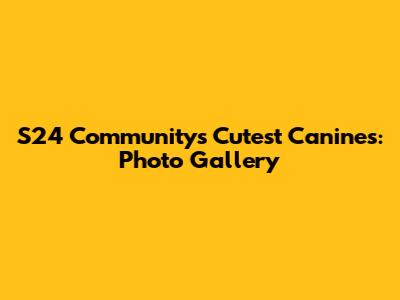 S24 Community's Cutest Canines: Photo Gallery