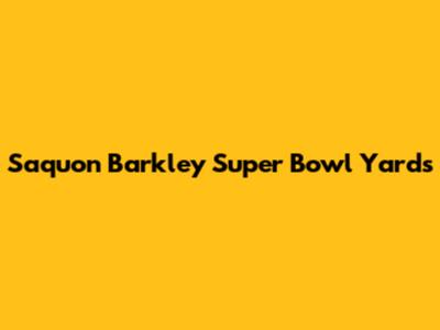 Saquon Barkley Super Bowl Yards