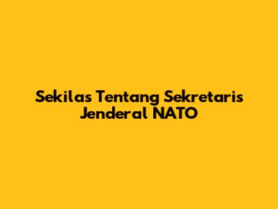 Sekilas Tentang Sekretaris Jenderal NATO