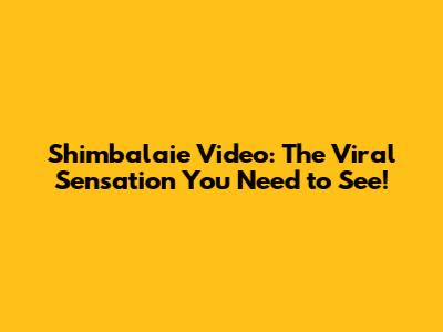 Shimbalaie Video: The Viral Sensation You Need to See!