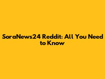 SoraNews24 Reddit: All You Need to Know