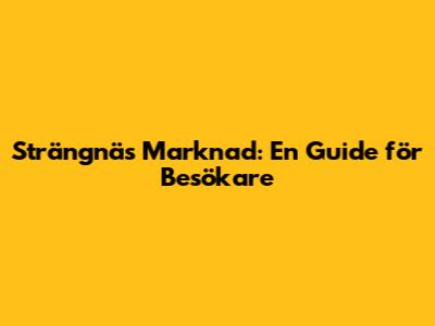 Strängnäs Marknad: En Guide för Besökare