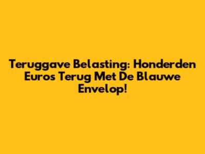 Teruggave Belasting: Honderden Euro's Terug Met De Blauwe Envelop!