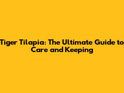 Tiger Tilapia: The Ultimate Guide to Care and Keeping