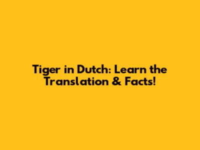 Tiger in Dutch: Learn the Translation & Facts!
