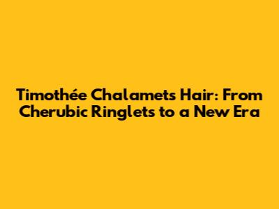 Timothée Chalamet's Hair: From Cherubic Ringlets to a New Era