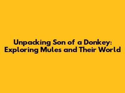 Unpacking 'Son of a Donkey': Exploring Mules and Their World