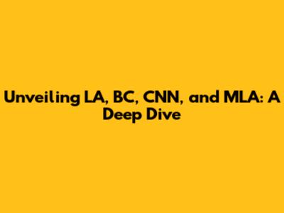 Unveiling LA, BC, CNN, and MLA: A Deep Dive