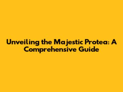 Unveiling the Majestic Protea: A Comprehensive Guide