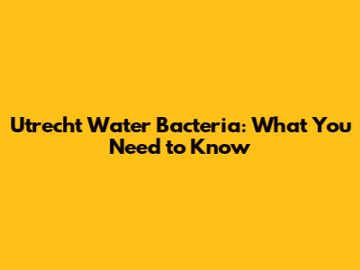 Utrecht Water Bacteria: What You Need to Know