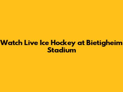 Watch Live Ice Hockey at Bietigheim Stadium
