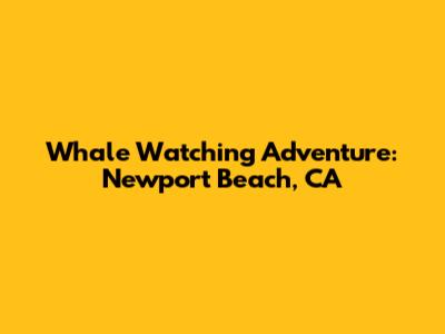 Whale Watching Adventure: Newport Beach, CA